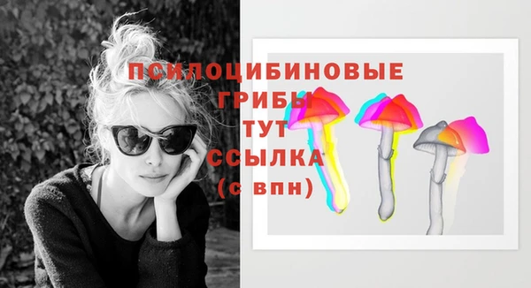 крисы Хадыженск
