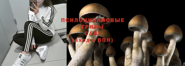 прущий лед Армянск