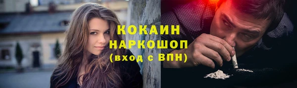 молекула духа Богородицк