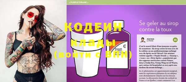 молекула духа Богородицк